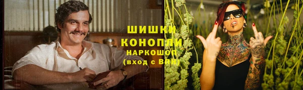 гидра Михайловск