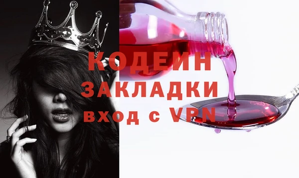 прущие грибы Надым