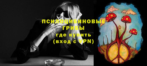 гидра Михайловск