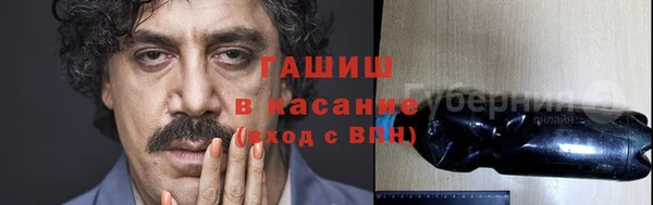 твердый Михайлов