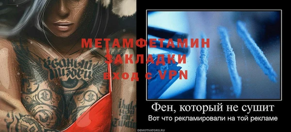 гидра Михайловск