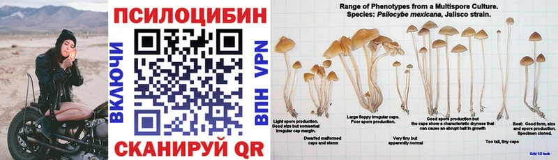 Галлюциногенные грибы мицелий Алапаевск