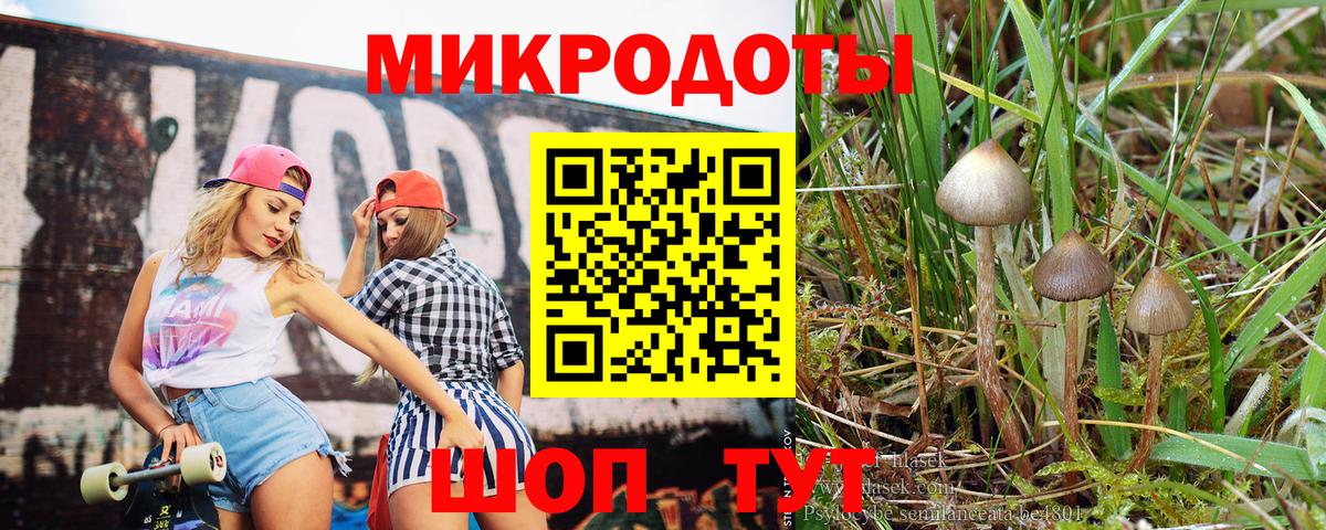 Галлюциногенные грибы Psilocybine cubensis Алапаевск